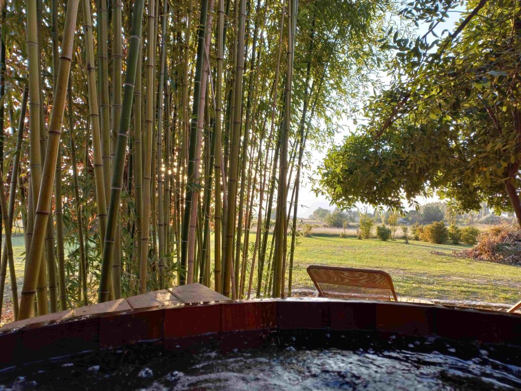 Logement insolite CabaneSpaBambou, bain nordique,spa