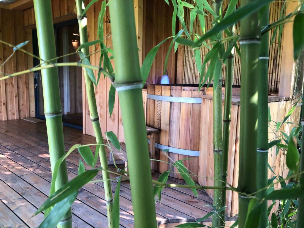 séjour Bien-être, Relaxation dans les bambous