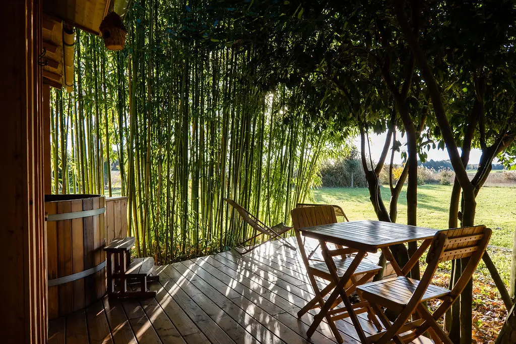 terrasse avec son spa nordique dans bambouseraie