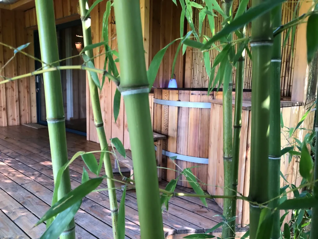 spa dans Bambous