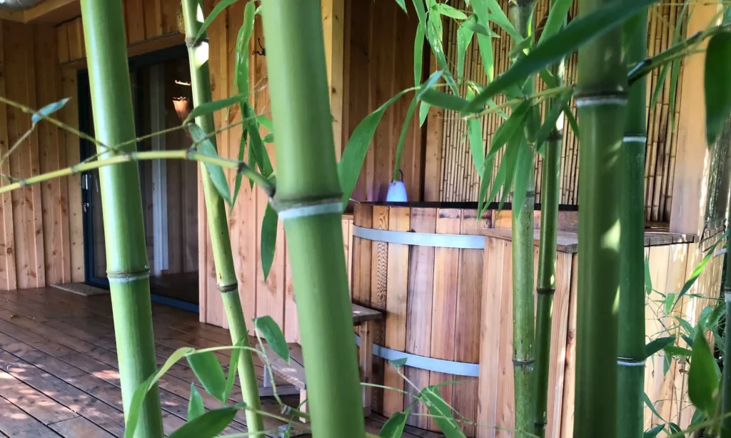 spa dans Bambous